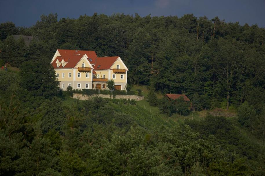 Winzerhaus Friedrich Διαμέρισμα Kaindorf  Εξωτερικό φωτογραφία